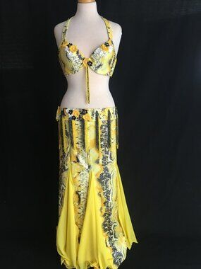 New Professional Belly Dance Costume